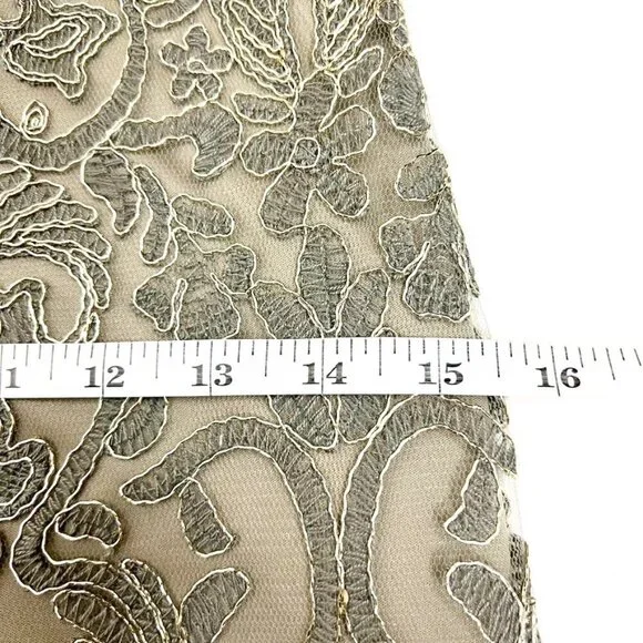 NWT Tadashi Shoji Dress Corded Embroidery On Tulle 3/4 Sleeve. Smoke Pearl Sz 2P